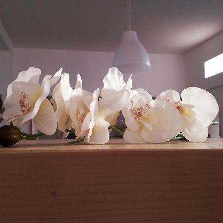 Sadinahome Setúbal Buitenkant foto